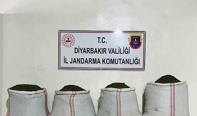 Diyarbakır'da 34 bin 500 kök kenevir ve 112 kilo esrar ele geçirildi