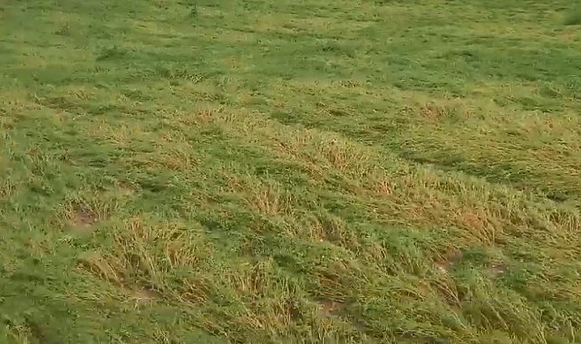 Diyarbakır'da dolu yağışı ekili arazileri vurdu