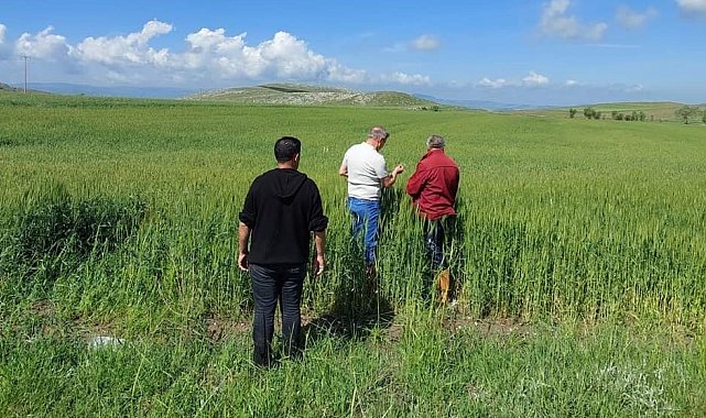 Dolu ve selden etkilenen köylerde zarar tespit çalışması başlatıldı
