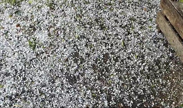 Dolu yağışı meyve ağaçları ve ekili arazilere zarar verdi