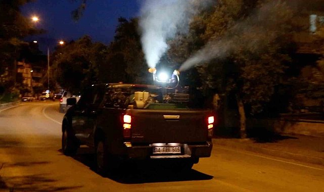 Efeler'de gece ilaçlamaları başladı