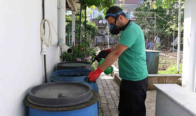 Ekipler sivrisineklerle mücadele için sahada