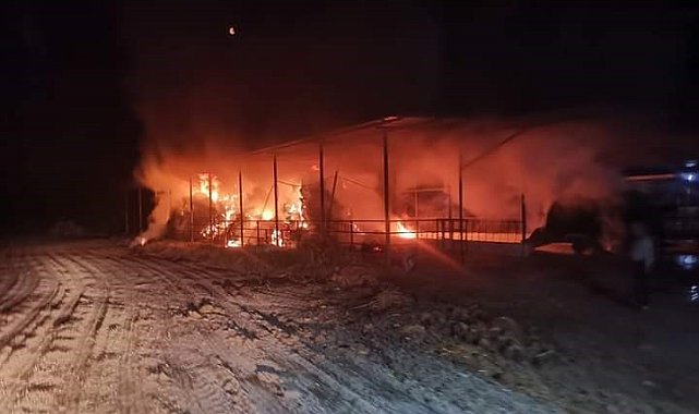 Ekiplerin hızlı müdahalesi 60 hayvanı kurtardı