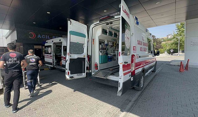 Elazığ'da arazi kavgası: 3 yaralı