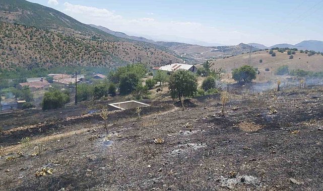 Elazığ'da ot yangını