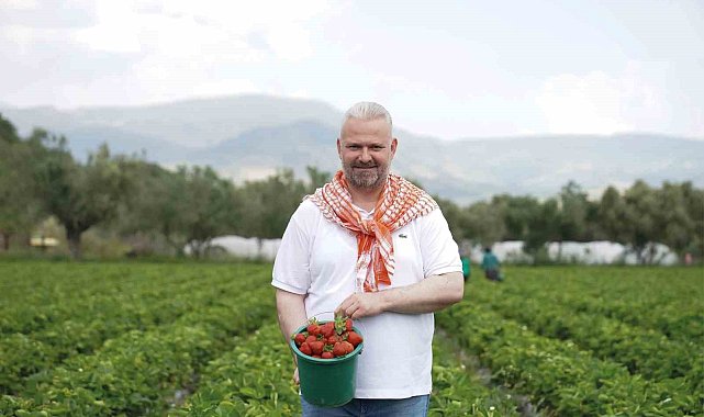 Emiralem Çilek Festivali binlerce kişiyi buluşturacak