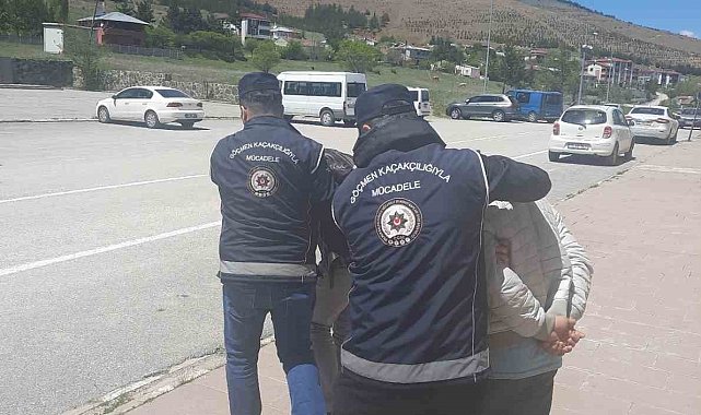 Erzincan'da kaçak göçmen taşıyan 2 kişi tutuklandı