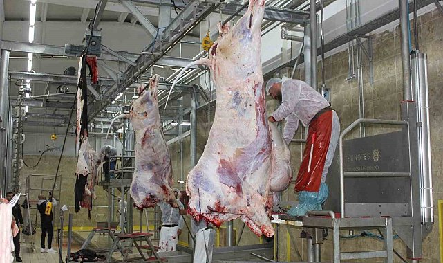 Erzincan'da resmi veteriner hekimlik eğitimi veriliyor
