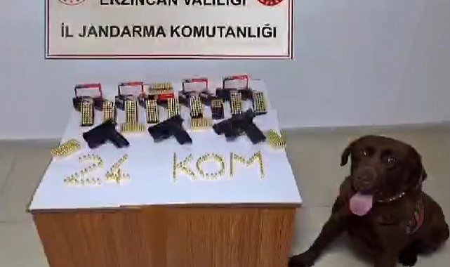 Erzincan'da silah kaçakçısı 1 kişi yakalandı