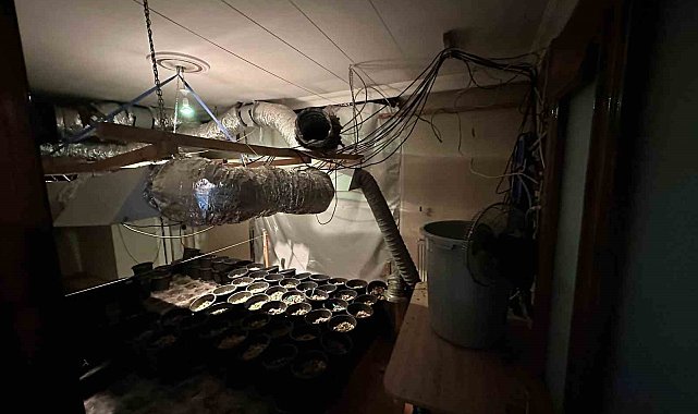 Esenyurt'ta uyuşturucu serasına çevrilen eve operasyon: 15 kilogram esrar ele geçirildi