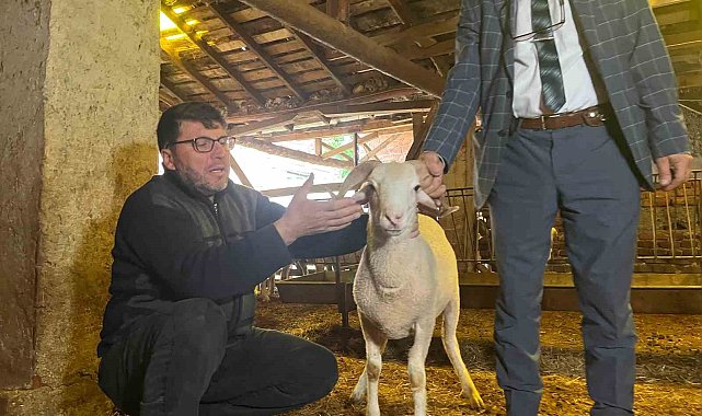 Eskişehir'de kurbanlık küçükbaş fiyatı 10 bin ile 25 bin lira arasında değişiyor
