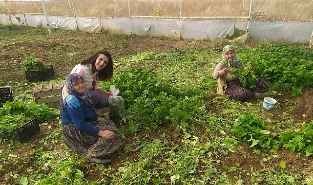 Eskişehir'de sağlıklı tarımsal üretim çalışmaları devam ediyor