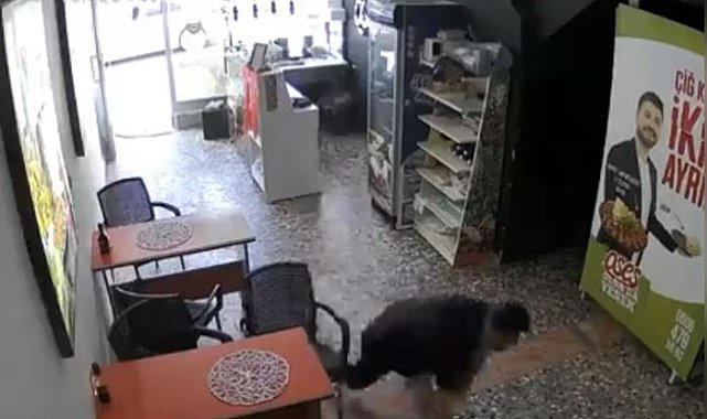 F-16 sesiyle deprem korkusuna kapılan esnafın emekleyerek kaçmaya çalıştığı anlar kamerada