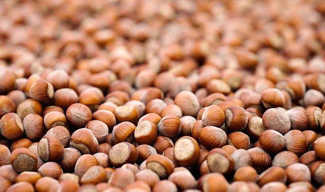 Ferrero Grubu'ndan hedeflerine ulaşma noktasında önemli ilerleme