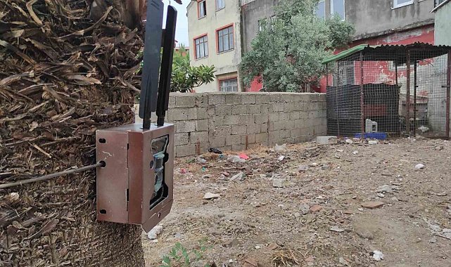 Fethiye'de piton yılanının bulunması için fotokapan kuruldu