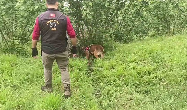 Film sahnesi değil tasarlanmış cinayet: Müşteri gibi taksiye binip kafasına sıkmışlar