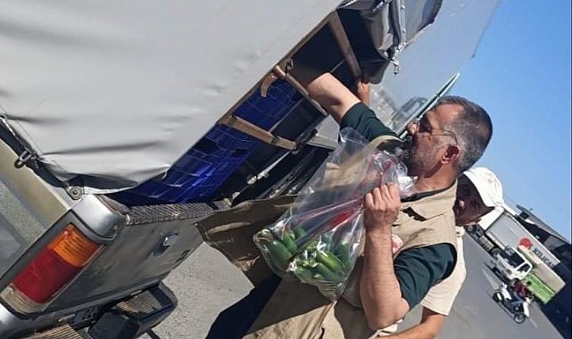 Gazipaşa'da pestisit denetimi yapıldı