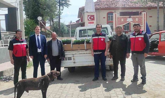 Gediz'de üreticilere yüzde 50 hibeli 26 bin 780 kök biber ve domates fidesi