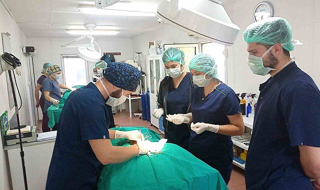 Geleceğin veteriner hekimlerine uygulamalı eğitim