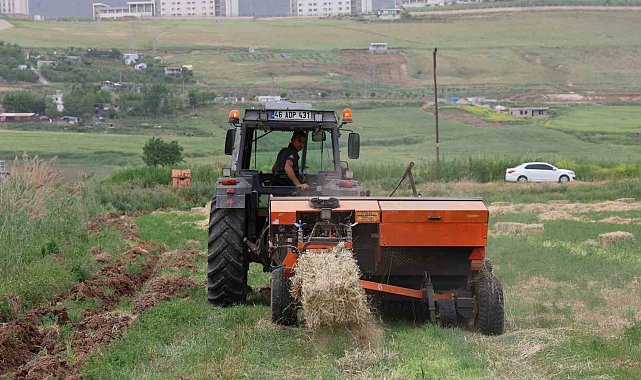 Genç çiftçiden gençlere nasihatler