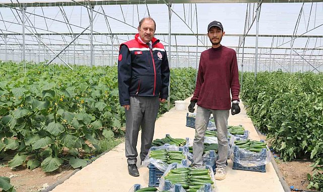 Genç çiftçinin hasat sevinci