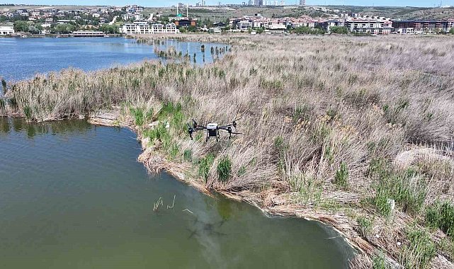 Gölbaşı Belediyesi'nin vektörle mücadelesi sürüyor