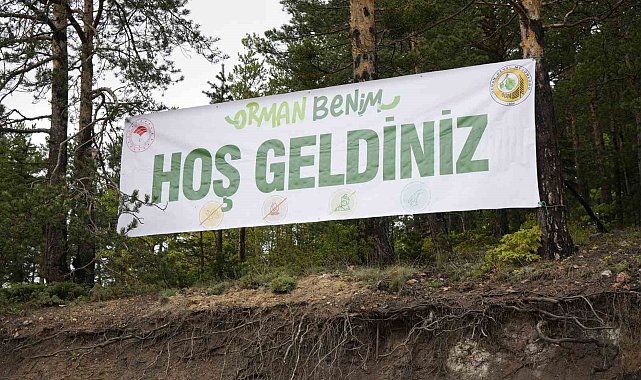 Gümüşhane'de 'Orman Benim' etkinliğinde ormanda temizlik
