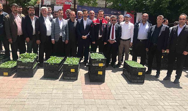 Güroymak'ta yüzde 75 hibeli 21 bin fide dağıtıldı