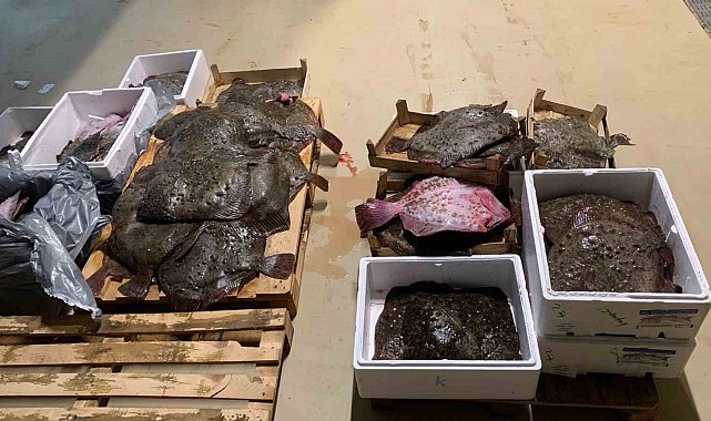 Gürpınar Su Ürünleri Hali'nde kalkan operasyonu