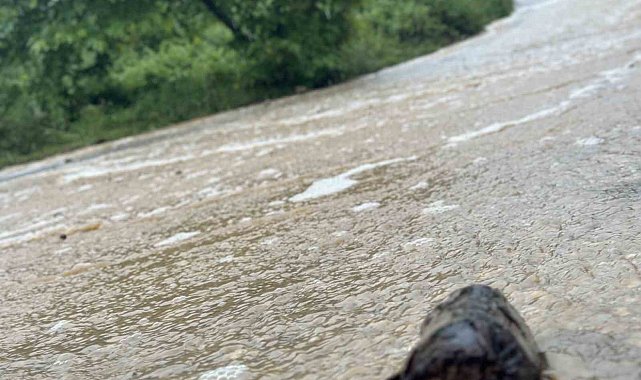 Gürsu ovasına ceviz büyüklüğünde dolu yağdı