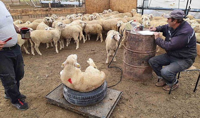 Halk elinde ıslah 18. yılında