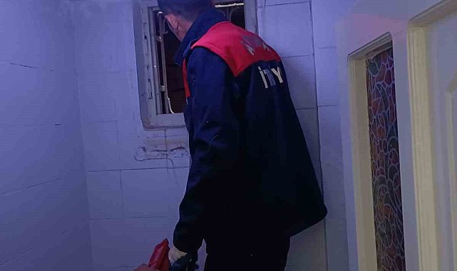 Havalandırma boşluğunda doğum yapan anne kedi ve 3 yavrusu kurtarıldı