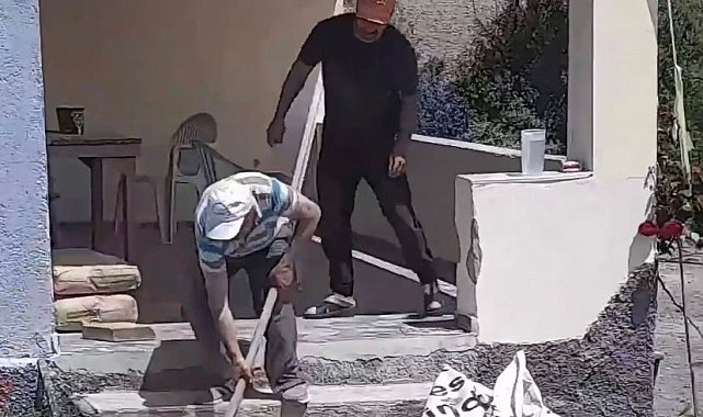 Havalar ısındı, yılanlar evlere girmeye başladı