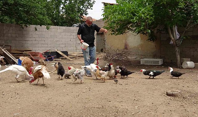 Hayvanat bahçesi değil evinin bahçesi, adeta Ali Baba'nın çiftliği