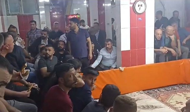 Horoz Koruma Derneğine 'Horoz Dövüşü' operasyonu: 7 gözaltı