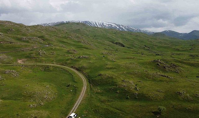 Iğdır'da dağlar yağmur sonrası yeşile büründü