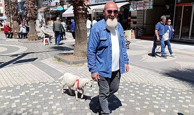 İki aylık kuzusu peşinden hiç ayrılmıyor