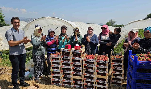 İşçi bayramını meydanda değil, tarlada kutladılar