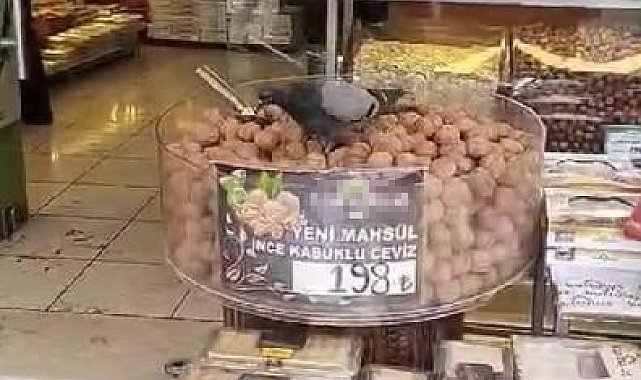 İşini bilen güvercinler kuruyemişçiyi mesken tuttu