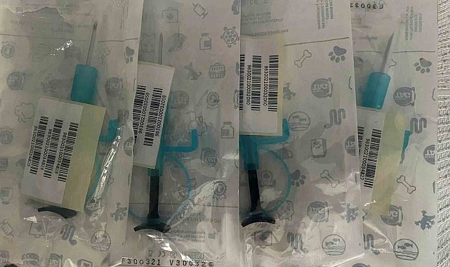 İstanbul'da hayvan kaçakçılığı operasyonu: 565 egzotik hayvan ele geçirildi, 36 kişi yakalandı