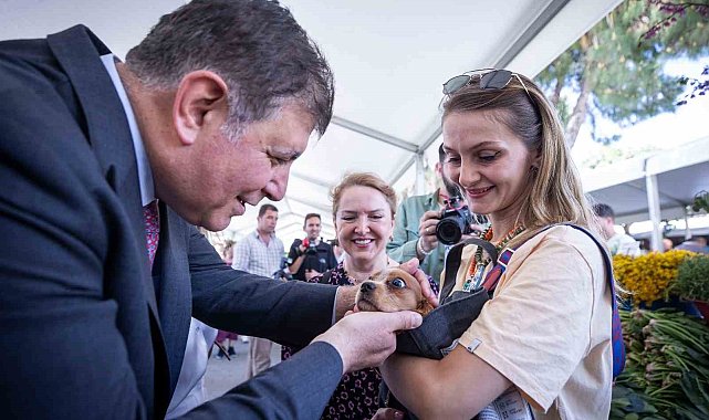 İzmir Büyükşehir, sokak hayvanları için harekete geçti