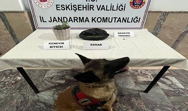 Jandarma ekiplerinden 4 ayrı uyuşturucu operasyonu