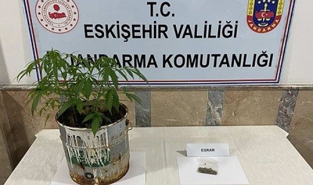 Jandarma ekiplerinin 9 farklı uyuşturucu operasyonunda 20 şüpheli yakalandı