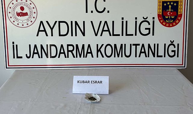 Jandarma uyuşturucuya geçit vermedi: 9 gözaltı