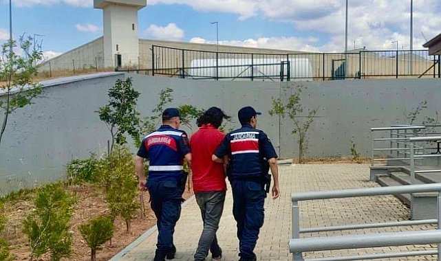 Jandarmadan kaçak kazı baskını