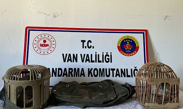 Kafes avcısına 16 bin 121 lira idari para cezası kesilecek