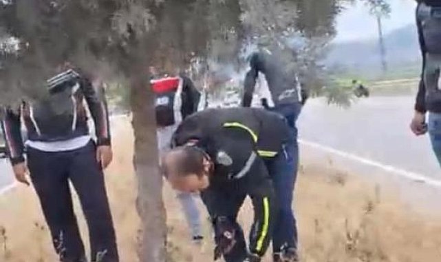 Kahramanmaraş&#039;ta motosiklet refüjdeki ağaca çarptı: 1 ölü