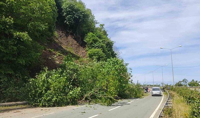 Karadeniz Sahil Yolu'nda heyelan