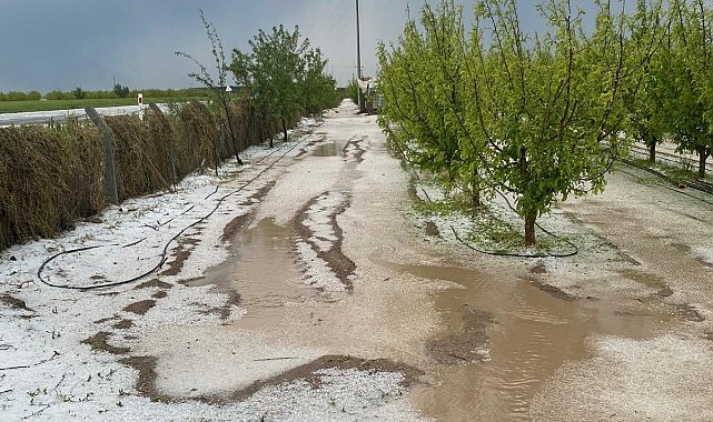 Karaman'da dolu ve sel 100 bin dekar ekili alanda zarara yol açtı