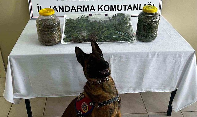 Karaman'da uyuşturucu operasyonu: 1 tutuklama
